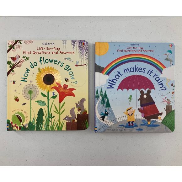 Lot of 2 Usborne Lift The Flap First Questions & Answers Rain Flowers Kids Books - Picture 1 of 7